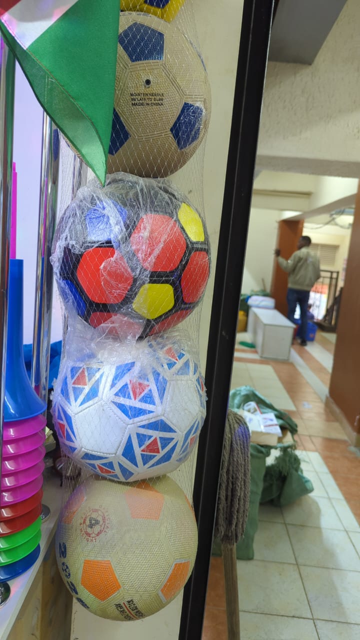 Generic football and volleyball balls